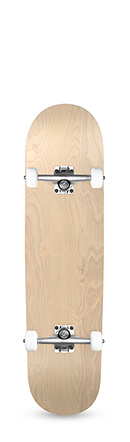 Skate assemblato